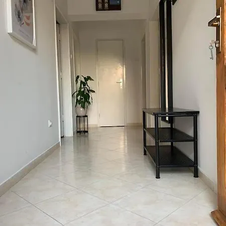 Ok Apartment-Cosy And Peaceful Spot With Private Parking Dubrovnik Exterior photo