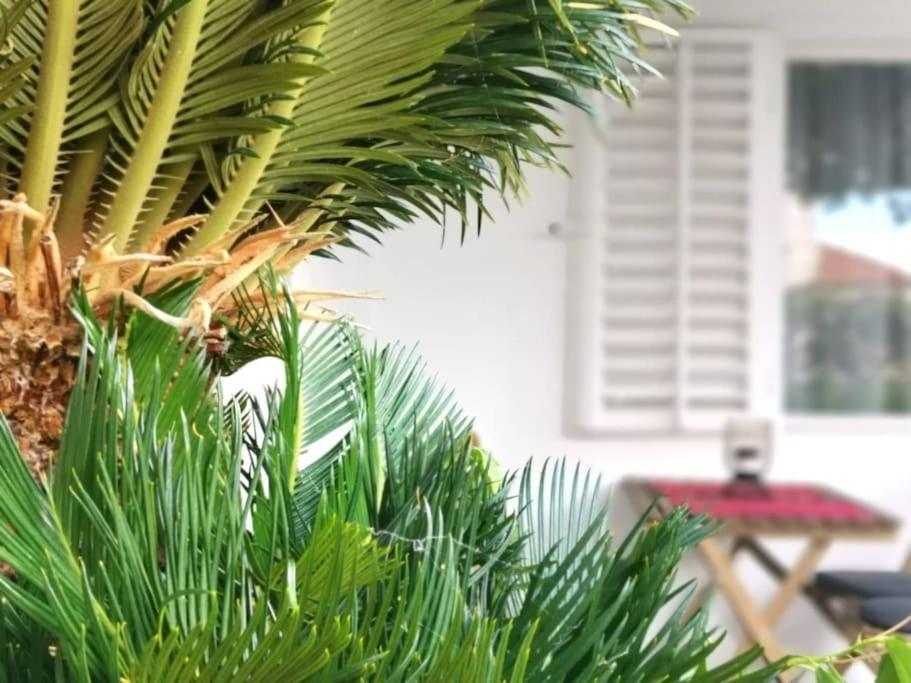 Ok Apartment-cosy And Peaceful Spot With Private Parking * Dubrovnik